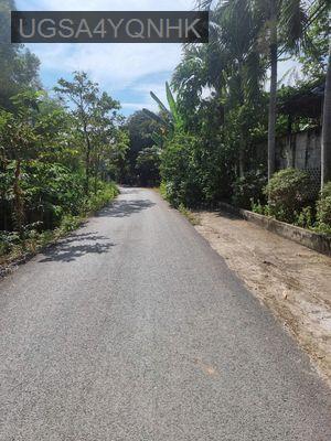 Chính chủ cần bán gấp đất - Xã Tân Thạnh Tây  -  Huyện Củ Chi 