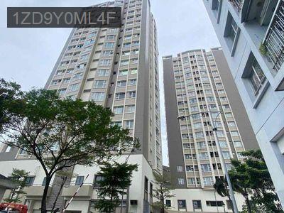 Chung cư Summer Square, quận 6, gần chợ Phú Lâm, sổ hồng đủ, nhà đẹp - Phường 14  -  Quận 6 