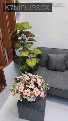 nhà mới dọn vào ở ngay  - Phường 10  -  Quận 3 