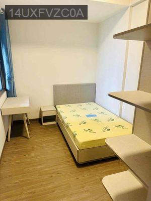 Chuyển về quê nên Gia đình cần bán lại Căn 3PN; Nhà rất mới.LH xem nhà - TT. Tân Túc  -  Huyện Bình Chánh 