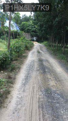 cần bán - Xã Bình Mỹ  -  Huyện Bắc Tân Uyên 