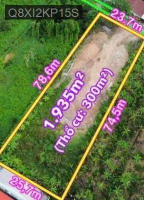 Bán 1935 m2 đất có 300m2 thổ cư An sơn thuận an Bình Dương - Xã An Sơn  -  Thị xã Thuận An 