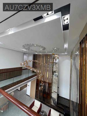 penhouse duplex la astoria 220m ngay mặt tiền nguyễn duy trinh giá tot - Phường Bình Trưng Tây  -  Quận 2 