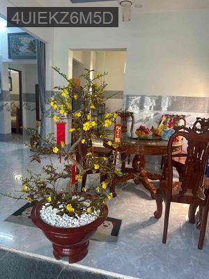 Bán nhà - Xã Xuân Thới Sơn  -  Huyện Hóc Môn 
