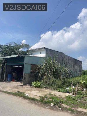 CẦN BÁN NHANH NHÀ TRỌ GIÁ TỐT KHU DÂN CƯ TÂN ĐỨC - Thị trấn Đức Hoà  -  Huyện Đức Hòa 