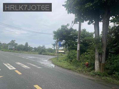 Bán đất mặt tiền Duyên Hải - Long Hoà - Cần Giờ - Xã Long Hòa  -  Huyện Cần Giờ 