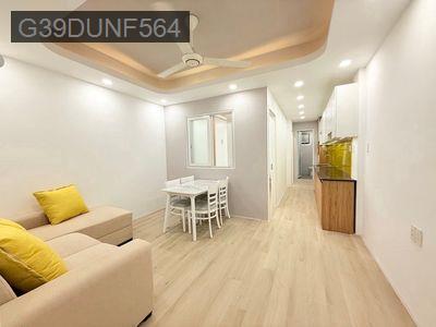 TÂN PHÚ - KÊNH TÂN HOÁ - NHÀ MỚI ĐÓN TẾT - 45m2 - 2 PHÒNG - Phường Hòa Thạnh  -  Quận Tân Phú 