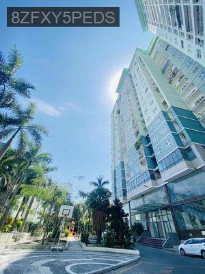 Bán căn hộ giá rẻ, 8x Đầm Sen, Sổ Hồng, 48m2 1PN 1WC, tặng nội thất - Phường Hiệp Tân  -  Quận Tân Phú 