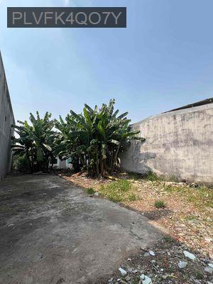 Bán đất - Phường Tân Tạo  -  Quận Bình Tân  - 296m² - 14.8tỷ
