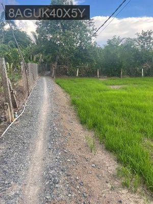 Cần bán đất nông nghiệp gần Vành đai 4 TPHCM - Xã Phước Vân  -  Huyện Cần Đước 