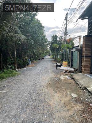 Chính chủ cần bán mặt tiền lô B đường Thanh Niên có dòng tiền - Xã Phạm Văn Hai  -  Huyện Bình Chánh 