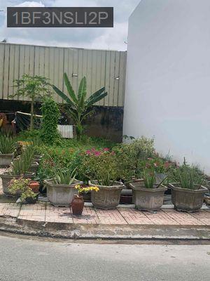 CẦN BÁN GẤP LÔ ĐẤT 2 MẶT TIỀN TRÊ ĐƯỜNG ĐINH ĐỨC THIỆN (DT835) - Xã Long Hoà  -  Huyện Cần Đước 