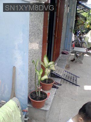 Bán nhà Phú Đinh - Phường 16  -  Quận 8 