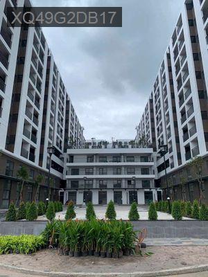 Nhà ở Xã hội Tp Thủ Đức nhận nhà Quí III/2025 trả chậm 5năm 0 Lãi suất - Phường Thạnh Mỹ Lợi  -  Quận 2 