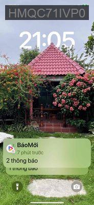 bán nhà vườn trại gà cá chim cây kiểng vinh loc - Xã Vĩnh Lộc A  -  Huyện Bình Chánh 