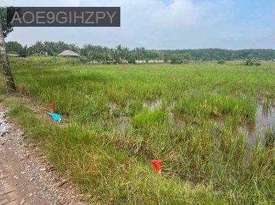 Chủ cần tiền nên bán gấp lô đất xã An Tây, Bến Cát, Bình Dương - Xã An Tây  -  Thị xã Bến Cát 