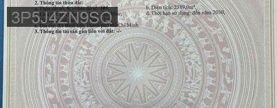 Vườn Là Nơi Để Về - Xã Bình Lợi  -  Huyện Bình Chánh 