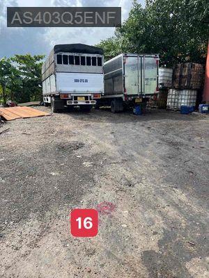 đất trồng cây lâu năm - Xã Tân Kiên  -  Huyện Bình Chánh 
