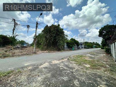 KDC, chính chủ 2 lô sổ đỏ 1977m2-300m thổ cư, ra chợ 3p,cách TL7 200m - Xã Thái Mỹ  -  Huyện Củ Chi 