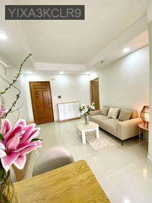 Căn hộ đã có sổ kế Phú Mỹ Hưng quận 7 60m2 2pn 3.39 tỷ - Phường Phú Mỹ  -  Quận 7 