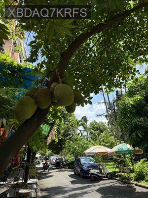 Bán cc tây thạnh  Lầu 1 dt 45m 1p1 vs  Giá 2.2ty - Phường Tây Thạnh  -  Quận Tân Phú 