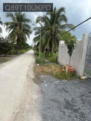 Nhà Vườn 2000m2 thổ cư shr đường ôtô quay đầu - Xã Mỹ Phú  -  Huyện Thủ Thừa 