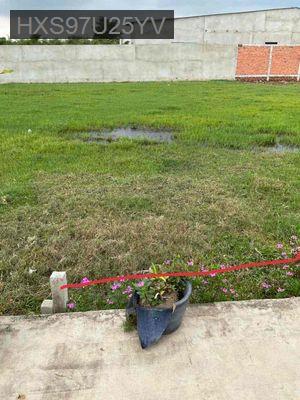 ĐẤT ĐẸP ĐỨC HOÀ - LONG AN - Xã Đức Hoà Thượng  -  Huyện Đức Hòa 