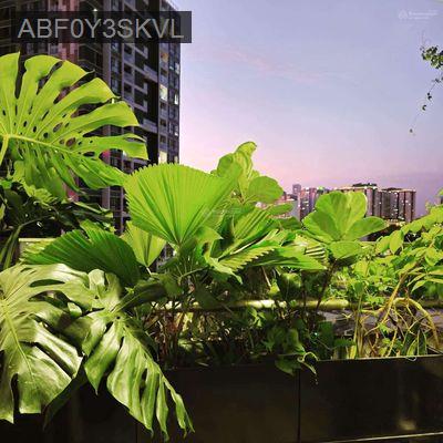 Sổ hồng Quận 2, Cần bán 1PN 49m ngay Nút giao An Phú Dlusso ven sông - Phường An Phú  -  Quận 2 