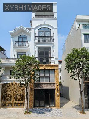 NHÀ LUNG LINH CHỜ CHỦ XINH RƯỚC VỀ ĐÓN TẾT - Phường Bình Hưng Hòa  -  Quận Bình Tân 