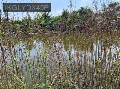 Bán Đất Nông Nghiệp + Gần Đường 4B, Đa Phước, Bình Chánh, TP. HCM - Xã Đa Phước  -  Huyện Bình Chánh 