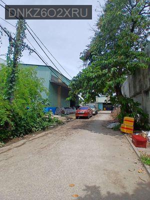 BÁN ĐẤT 100M2,HXH, TÂN THỚI HIỆP, NGAY KDC TÂN TIẾN,Q.12,NHỈNH 4 TỶ - Phường Tân Thới Hiệp  -  Quận 12 
