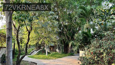 Nhà Vườn Quốc Lộ 13 Cạnh Dự Án Hồ Gươm Xanh - Phường Lái Thiêu  -  Thị xã Thuận An 