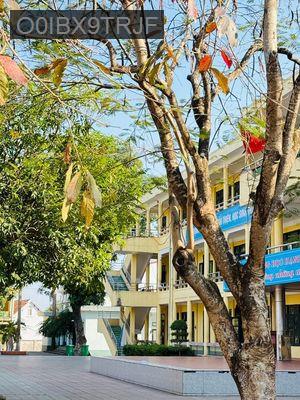 Chuyển nhượng quyền khai thác trường học tại Bình Tân, LN 2 tỷ/tháng - Phường Bình Trị Đông B  -  Quận Bình Tân 