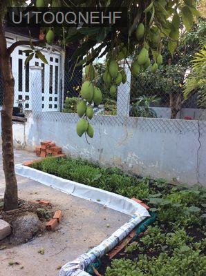 Nhà vườn rộng 200 m2 (5 x 40), gần RMIT / Phú Mỹ Hưng, TPHCM, giá mềm. - Xã Phong Phú  -  Huyện Bình Chánh 