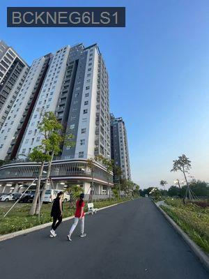 ✅ Hot _ Căn 2pn 2wc giá 2ty770_ Chủ nhà dễ tính_ Thiện chí ở lâu dài - Phường 7  -  Quận 8  ✅ Hot _ Căn 2pn 2wc giá 2ty770_ Chủ nhà dễ tính_ Thiện chí ở lâu dài - Phường 7  -  Quận 8