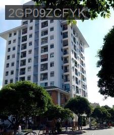 Bán chung cư 312 Lạc Long Quân Quận 11 - sổ hồng rồi giá 3,55 Tỷ - Phường 5  -  Quận 11 