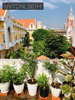 Cần bán nhà trung tâm Q3 vị trí rất đẹp - giá tốt - tích sản - Phường Võ Thị Sáu  -  Quận 3 