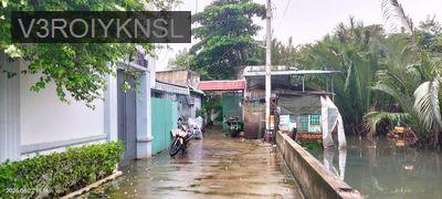 Nhà vườn: 701 m2, khu dân cư Hiệp Bình Chánh, Thủ Đức, TP.HCM. - Phường Hiệp Bình Chánh  -  Quận Thủ Đức  Nhà vườn: 701 m2, khu dân cư Hiệp Bình Chánh, Thủ Đức, TP.HCM. - Phường Hiệp Bình Chánh  -  Quận Thủ Đức