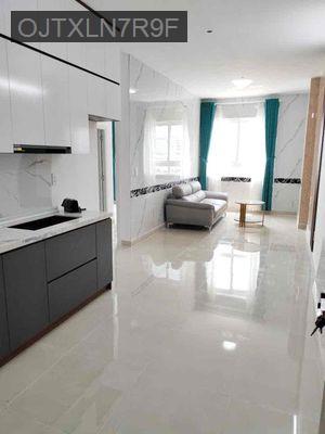 Cần tiền bán gấp CC đẹp xuất sắc tại Topaz Home 2, 1,655 tỷ, 64m2, 2PN - Phường Tân Phú  -  Quận 9 