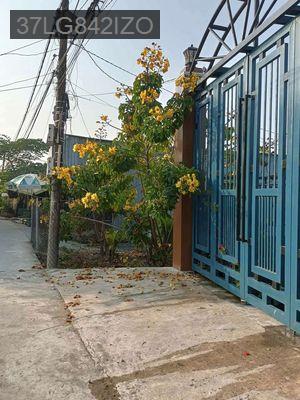 Mình cần bán nhà ở hưng long ,bình chánh,tphcm - Xã Hưng Long  -  Huyện Bình Chánh 