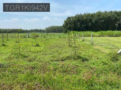 Bán 304 m2 đất vườn tại An Nhơn Tây củ chi 1,1 tỷ - Xã An Nhơn Tây  -  Huyện Củ Chi 