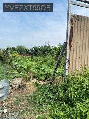 Chủ cần bán lô đất 2 mặt tiền ấp 2 vĩnh lộc a - Xã Vĩnh Lộc A  -  Huyện Bình Chánh 