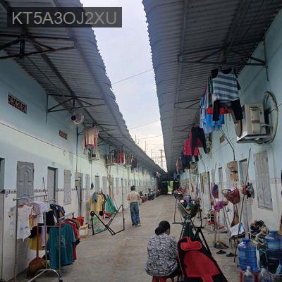 Bán gấp dãy nhà trọ diện tích lớn có 21p Tân Thạnh Đông, Củ Chi - Xã Tân Thạnh Đông  -  Huyện Củ Chi 