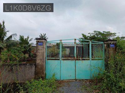 Gia đình cần bán đất vườn thơm bình chánh dt cộng nhận 9186m2 - Xã Bình Lợi  -  Huyện Bình Chánh 