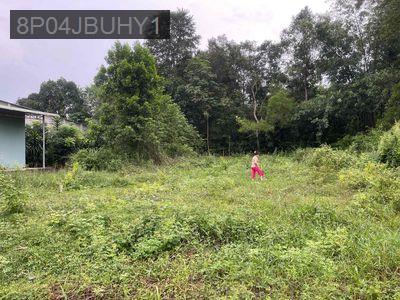 Cần bán đất tại Thanh An Bình Dường TPHCM - Xã Thanh An  -  Huyện Dầu Tiếng 