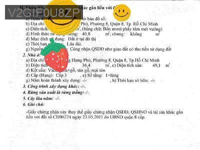 Mặt bằng kinh doanh Hưng Phú, Q8 (CŨ) TPHCM - Phường 9  -  Quận 8 