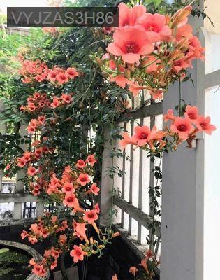 BÁN NHÀ ĐẸP 247M2 - TÂN HƯNG QUẬN 7 CHỈ 7,3 TỶ - Phường Tân Hưng  -  Quận 7  BÁN NHÀ ĐẸP 247M2 - TÂN HƯNG QUẬN 7 CHỈ 7,3 TỶ - Phường Tân Hưng  -  Quận 7