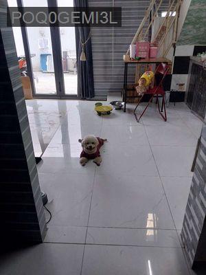 Sồ riêng chính chủ đăng tin 6x8, 3 PN,2WC gần mặt tiền lớn - Xã Phạm Văn Hai  -  Huyện Bình Chánh 