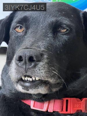 Bán nhà mặt tiền. Tiếp khách thiện chí, ko tiếp quảng cáo spamm - Xã Phú Xuân  -  Huyện Nhà Bè 