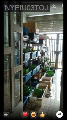 Cần bán nhà đẹp SỔ HỒNG CHÍNH CHỦ  - Xã Đông Thạnh  -  Huyện Hóc Môn 